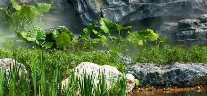 梅花湖休閒農場